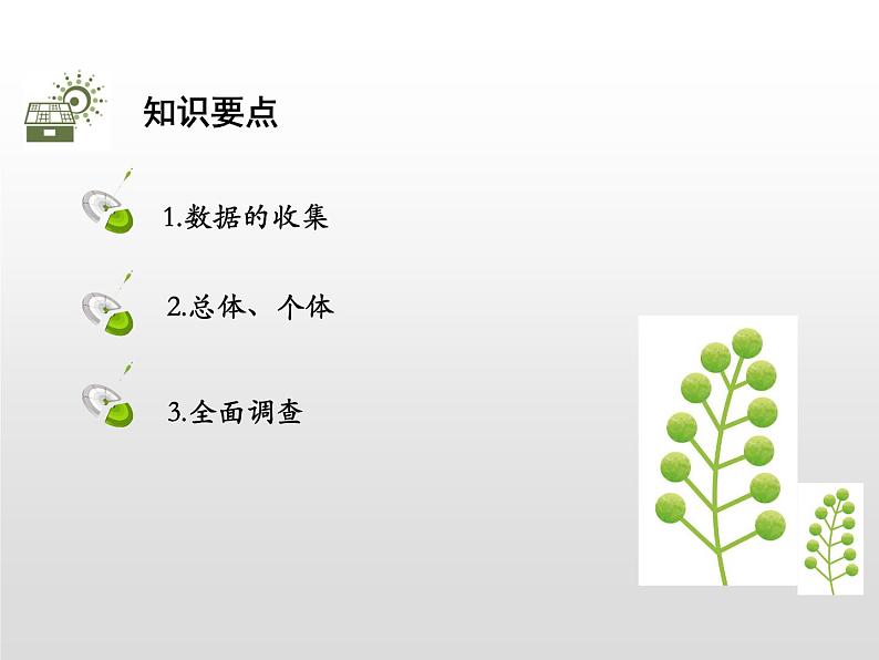 5.1数据的收集与抽样 第1课时总体与个体、全面调查课件PPT02