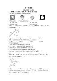 河北省承德市2022-2023学年八年级上学期期中数学试卷（含答案）