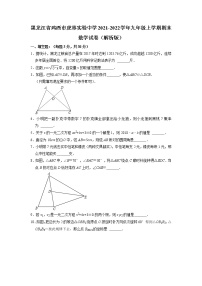 黑龙江省鸡西市虎林实验中学2021-2022学年九年级上学期期末考试数学试卷(解析版)