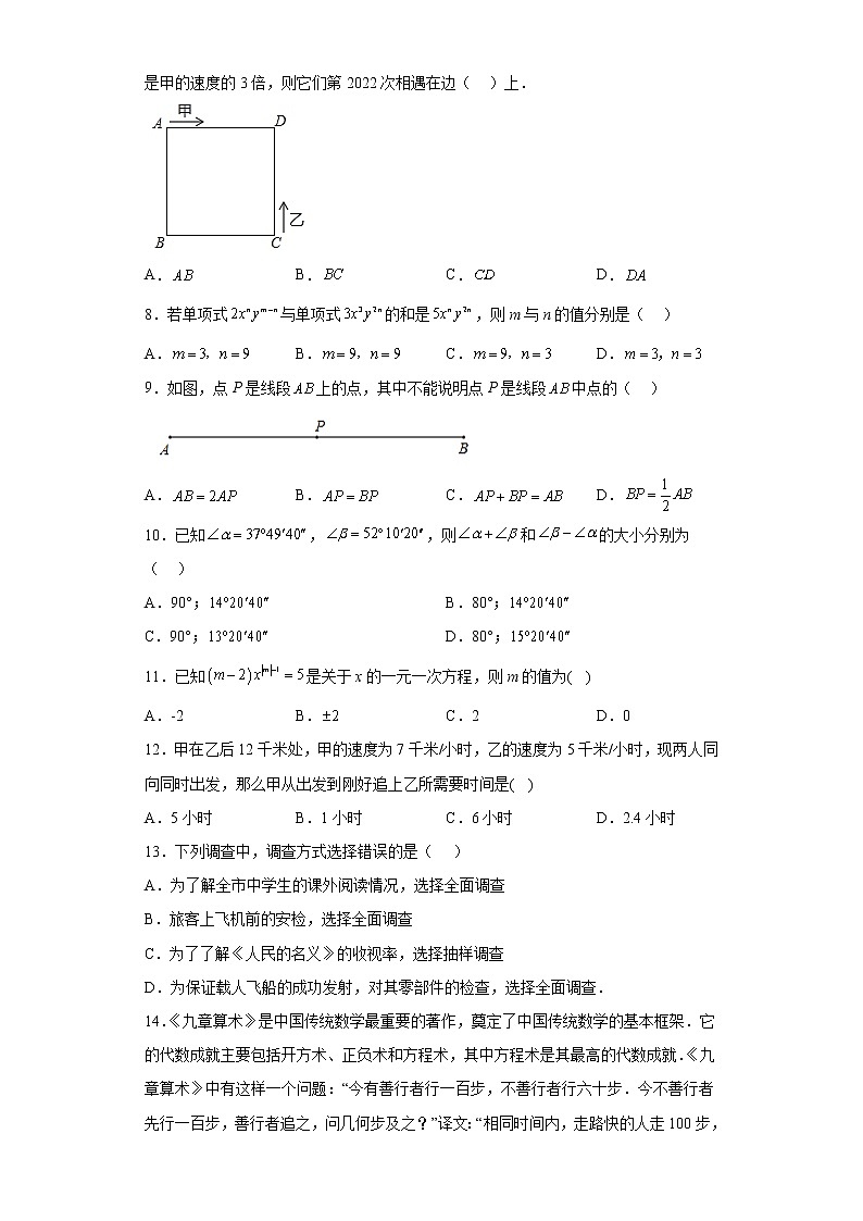 北师大版七年级数学上册期末复习综合训练（含答案）02