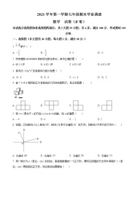 2021-2022学年番禺区执信中学七年级下学期期末考试数学试题（含答案解析）