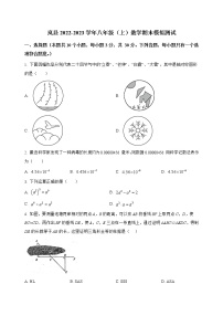 山西省岚县2022-2023学年八年级（上）数学期末模拟测试(解析版)