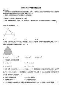 浙江省嘉兴市秀洲区实验中学2022年中考数学全真模拟试题含解析