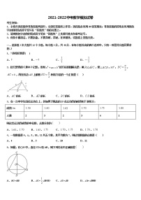 浙江省绍兴市迪荡新区重点中学2021-2022学年中考数学考试模拟冲刺卷含解析