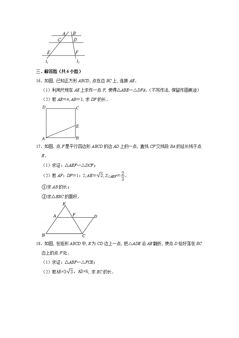 【中考复习】苏教版2023学年中考数学专题复习  图形的相似第3页
