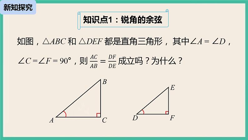 28.1.2《 锐角三角函数》课件第5页