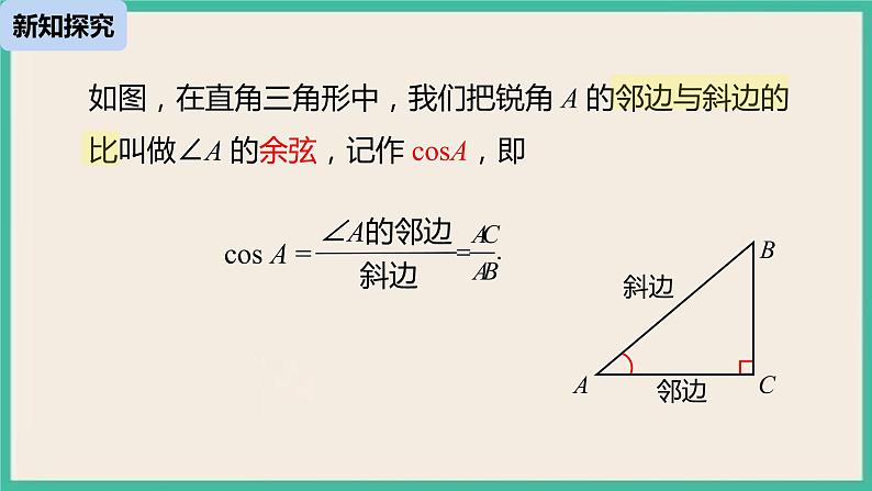 28.1.2《 锐角三角函数》课件第7页