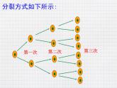 1.5.1+++乘方++课件+七年级上册