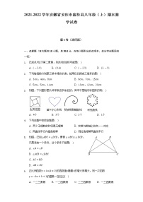 安徽省安庆市宿松县2021-2022学年八年级（上）期末数学试卷(解析版)