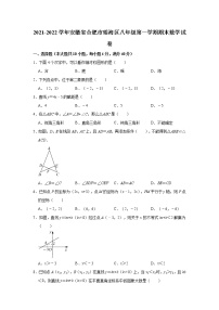 安徽省合肥市瑶海区2021-2022学年八年级上学期期末数学试卷（含答案）