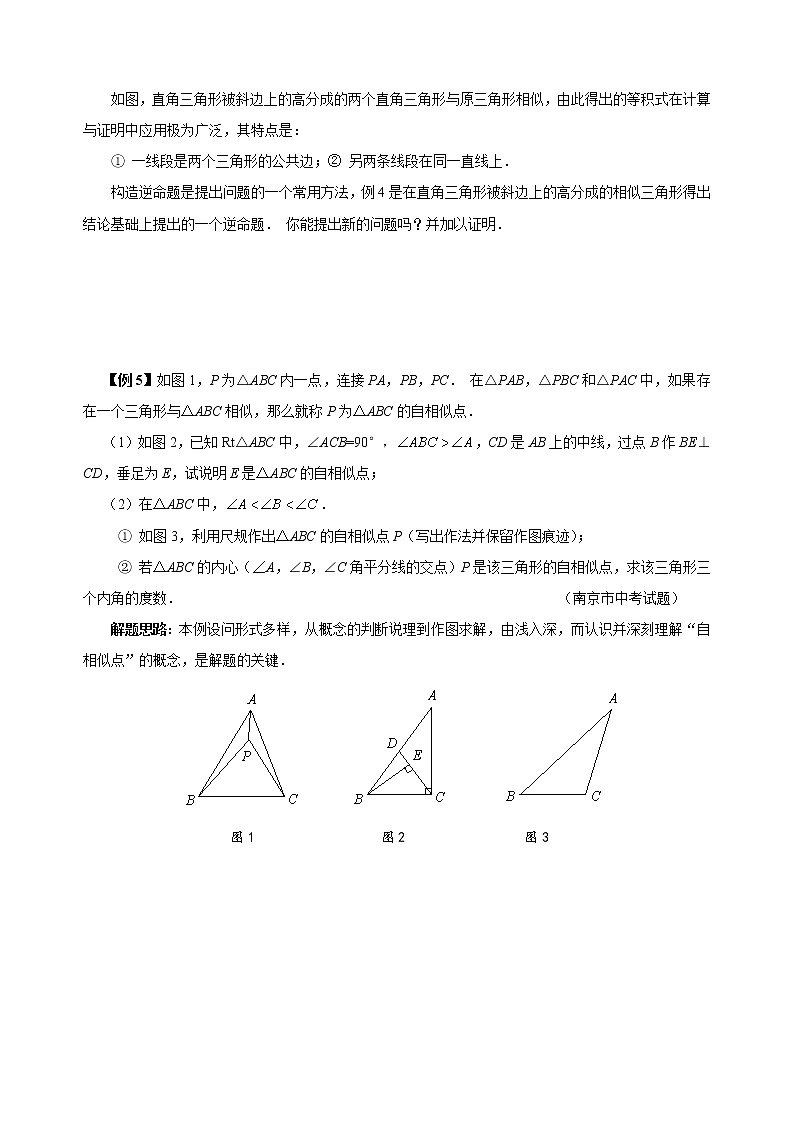 【中考冲刺】初三数学培优专题 15 从全等到相似（含答案）（难）第3页