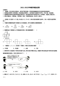 重庆市江津区实验中学2021-2022学年中考数学仿真试卷含解析