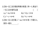 北师大版九年级数学上第二章一元二次方程2.5 一元二次方程的根与系数的关系课堂习题课件
