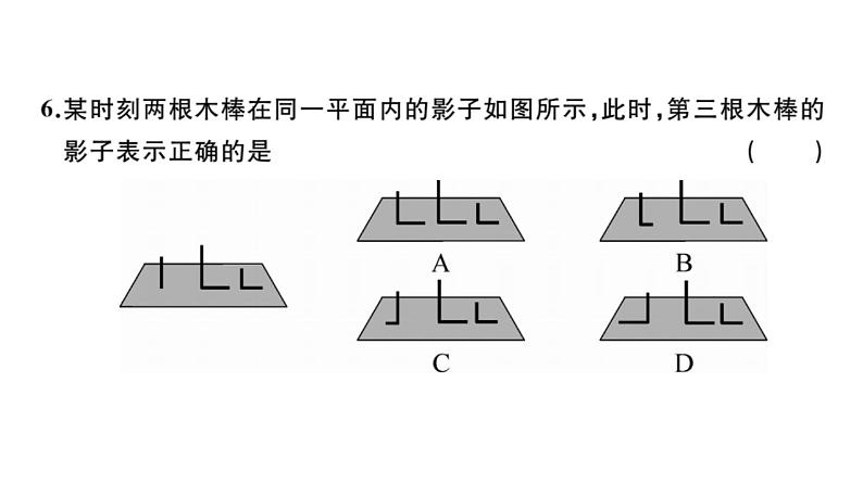 北师大版九年级数学上第五章投影与视图单元习题课件第5页