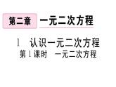 北师大版九年级数学上第二章一元二次方程2.1 第1课时 一元二次方程课后习题课件