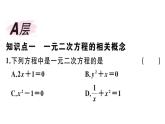 北师大版九年级数学上第二章一元二次方程2.1 第1课时 一元二次方程课后习题课件