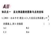 北师大版九年级数学上第六章反比例函数6.2 第1课时 反比例函数的图象课后习题课件