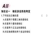 北師大版九年級(jí)數(shù)學(xué)上第四章圖形的相似4.3 相似多邊形課后習(xí)題課件