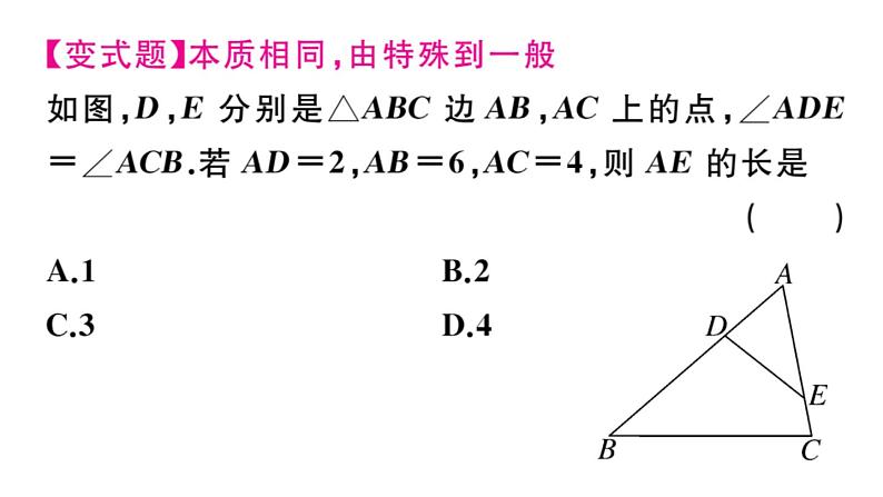 北师大版九年级数学上第四章图形的相似4.4 第1课时 利用两角判定三角形相似课后习题课件05