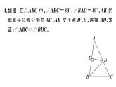 北師大版九年級(jí)數(shù)學(xué)上第四章圖形的相似4.5 相似三角形判定定理的證明課后習(xí)題課件
