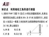 北师大版九年级数学上第四章图形的相似4.6 利用相似三角形测高课后习题课件