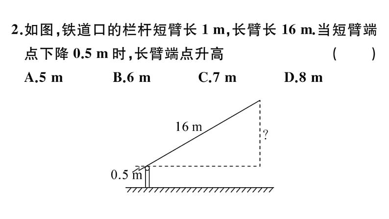 北师大版九年级数学上第四章图形的相似4.6 利用相似三角形测高课后习题课件第3页