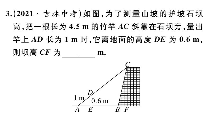 北师大版九年级数学上第四章图形的相似4.6 利用相似三角形测高课后习题课件第4页