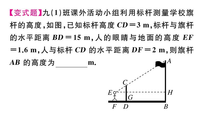 北师大版九年级数学上第四章图形的相似4.6 利用相似三角形测高课后习题课件第5页