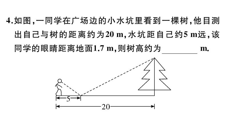 北师大版九年级数学上第四章图形的相似4.6 利用相似三角形测高课后习题课件第6页