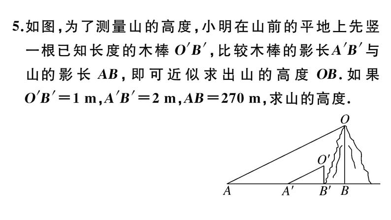 北师大版九年级数学上第四章图形的相似4.6 利用相似三角形测高课后习题课件第7页