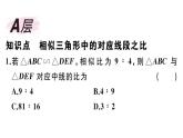 北师大版九年级数学上第四章图形的相似4.7 第1课时 相似三角形中的对应线段之比课后习题课件