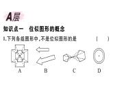 北师大版九年级数学上第四章图形的相似4.8 第1课时 位似多边形及其性质课后习题课件