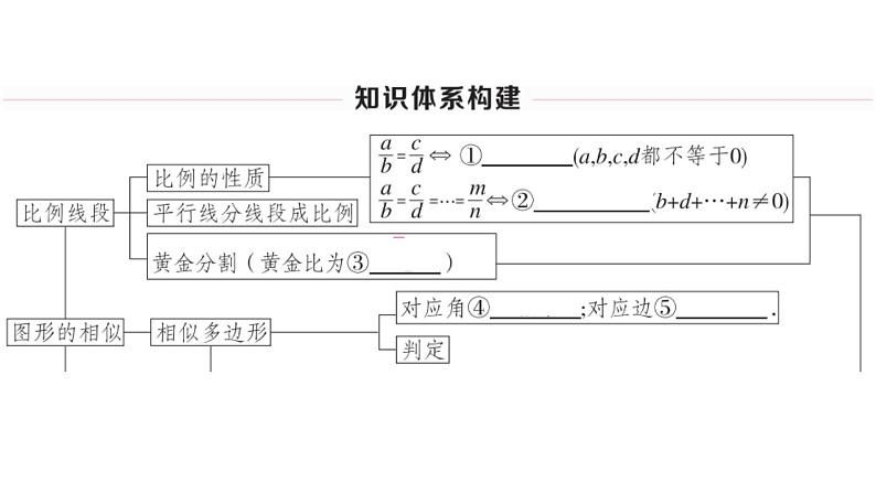 北师大版九年级数学上第四章图形的相似本章小结与复习课后习题课件第2页