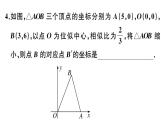 北师大版九年级数学上第四章图形的相似易错易混集训：图形的位似课后习题课件