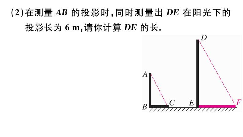 北师大版九年级数学上第五章投影与视图5.1 第2课时 平行投影与正投影课后习题课件04