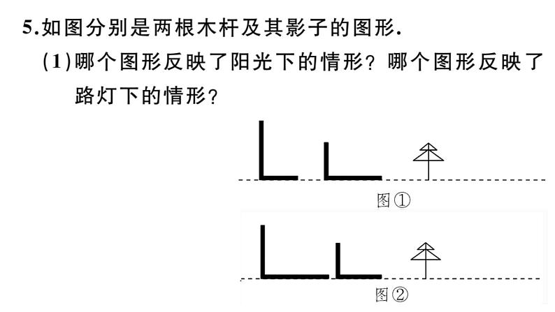 北师大版九年级数学上第五章投影与视图本章小结与复习课后习题课件第8页