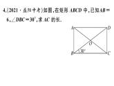 北师大版九年级数学上第一章特殊平行四边形1.2 第1课时 矩形的性质课后习题课件课后习题课件