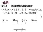 北师大版九年级数学上第一章特殊平行四边形1.2 第3课时 矩形的性质与判定的综合课后习题课件课后习题课件