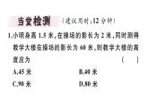 北师大版九年级数学上第四章图形的相似4.6 利用相似三角形测高课堂习题课件