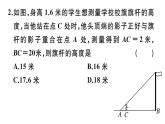 北师大版九年级数学上第四章图形的相似4.6 利用相似三角形测高课堂习题课件