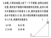 北师大版九年级数学上第四章图形的相似4.6 利用相似三角形测高课堂习题课件