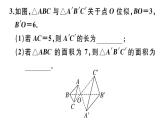 北师大版九年级数学上第四章图形的相似4.8 第1课时 位似多边形及其性质课堂习题课件