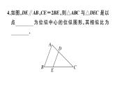 北师大版九年级数学上第四章图形的相似4.8 第1课时 位似多边形及其性质课堂习题课件