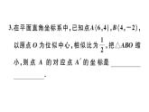 北师大版九年级数学上第四章图形的相似4.8 第2课时 平面直角坐标系中的位似变换课堂习题课件