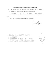 九年级数学中考复习函数综合试题附答案