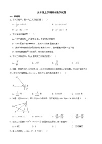 吉林省长春市农安县2022年九年级上学期期末数学试题及答案