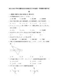 安徽省安庆市迎江区2022-2023学年八年级上学期期中数学试卷 (含答案)