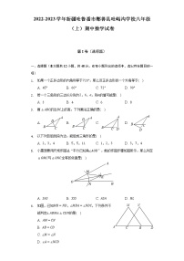 新疆吐鲁番市鄯善县吐峪沟学校2022-2023学年八年级上学期期中数学试卷(含答案)