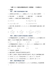 专题 17.9 勾股定理的逆定理（巩固篇）（专项练习）-八年级数学下册基础知识专项讲练（人教版）