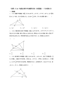 专题 17.14 勾股定理中考真题专练（巩固篇）（专项练习）-八年级数学下册基础知识专项讲练（人教版）